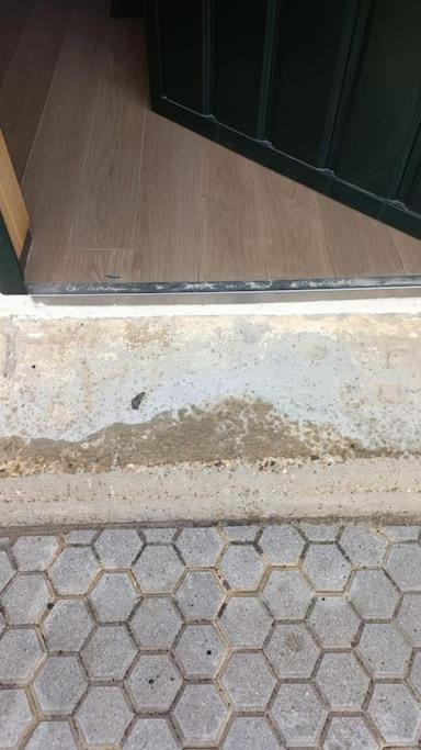 Loft Acogedor Διαμέρισμα Σεβίλλη Εξωτερικό φωτογραφία